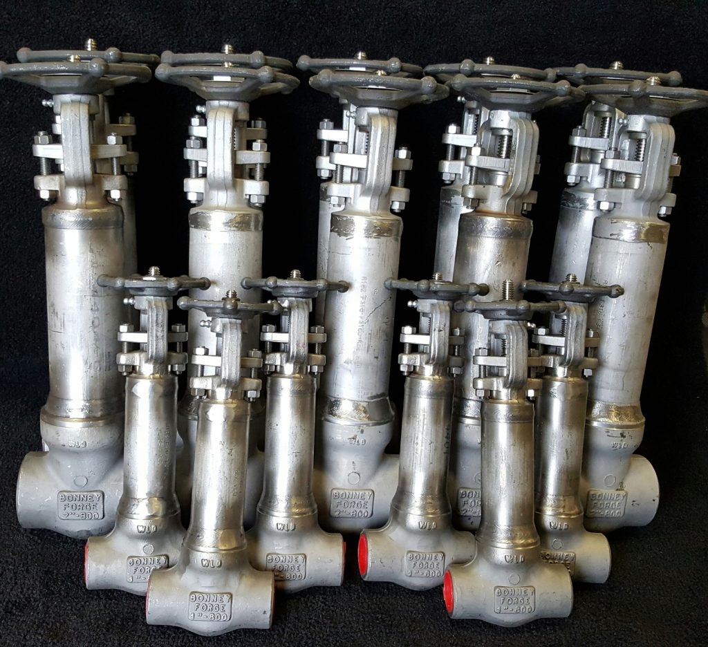 bellow seal valves