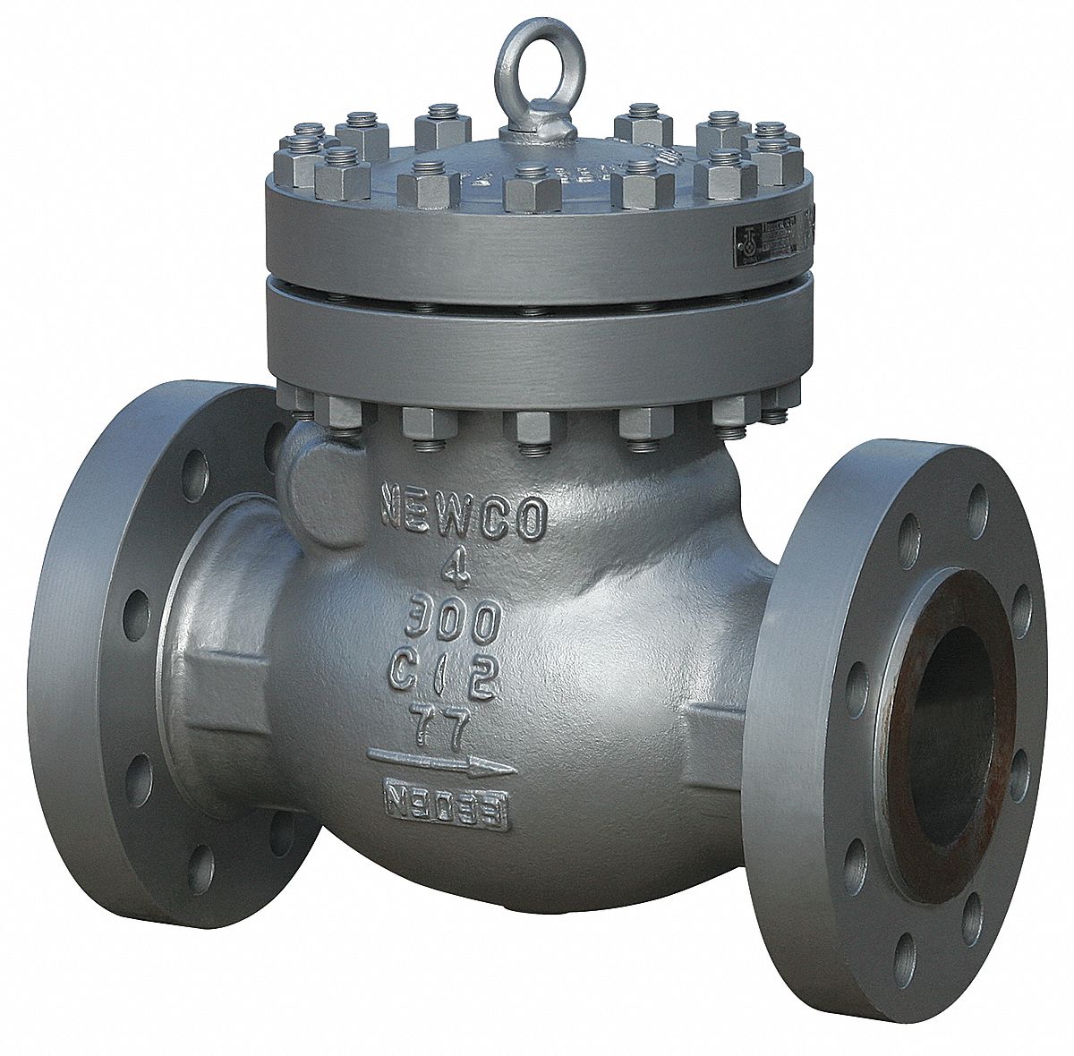 Newco Flanges Check Valve