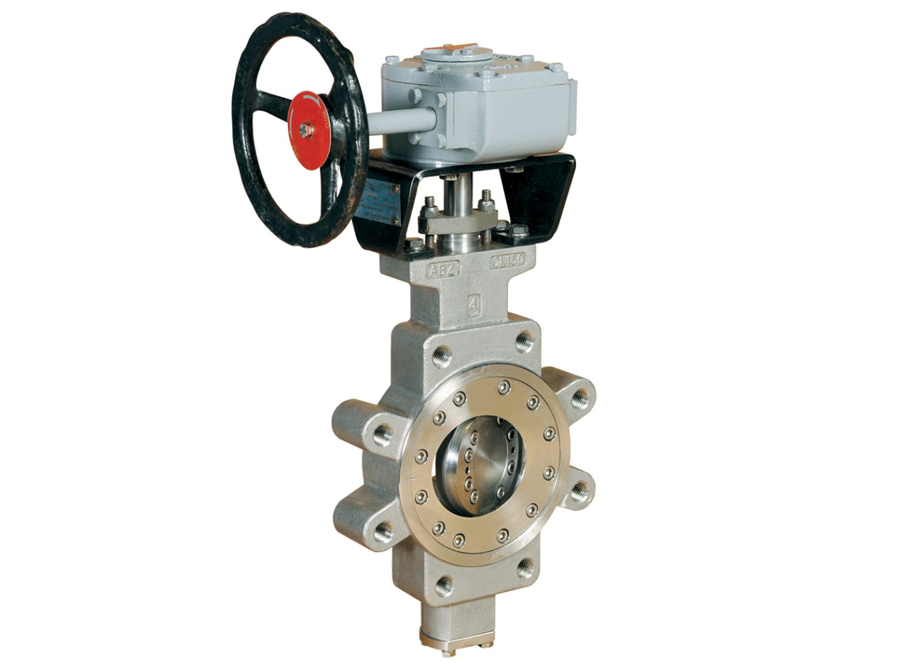 Double Offset Butterfly Valve